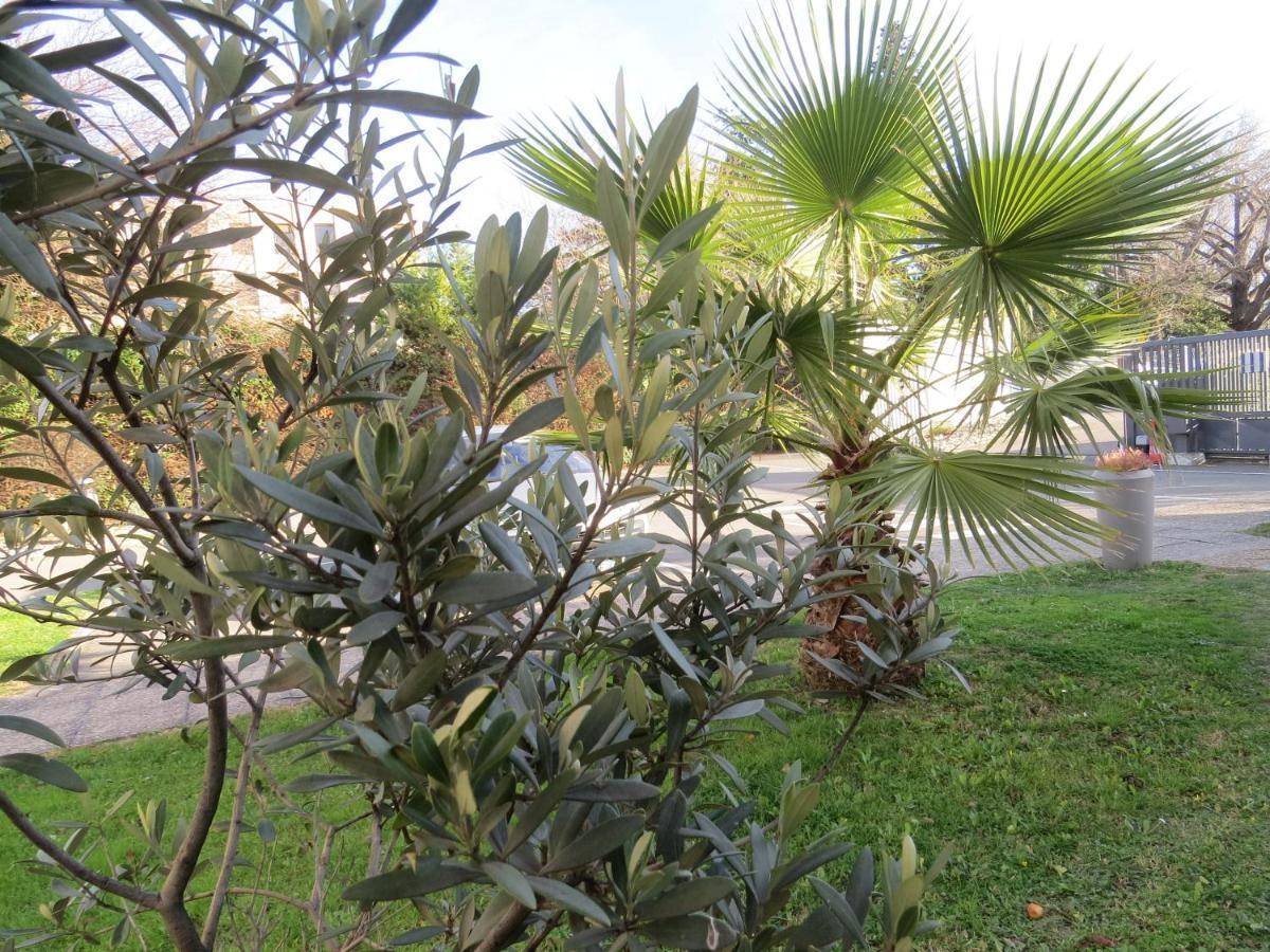 Hotel Kyriad Cap Sud Avignon Bagian luar foto