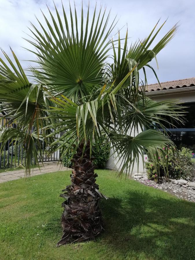 Hotel Kyriad Cap Sud Avignon Bagian luar foto